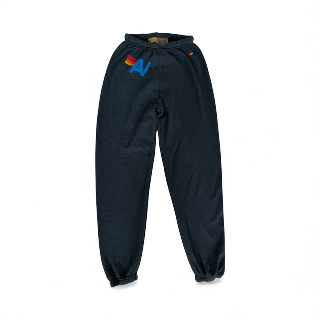 Aviator Nation Gray/Blue Joggers With Multicolor Logo
